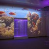 Проекционный дизайн "Виртуальная реальность" базовый комплект 500 анимаций - «globural.ru» - Ессентуки