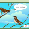 Интерактивное развивающее пособие "Говорящие картинки. Слушаем и повторяем" - «globural.ru» - Ессентуки