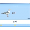 Английский язык. Освоение клавиатуры - «globural.ru» - Ессентуки