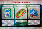 Стенды для кабинета биологии - «globural.ru» - Ессентуки