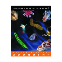 Зоология. Микрофотографии. (Цифровая база изображений) - «globural.ru» - Ессентуки