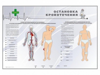 Электрифицированный стенд "Остановка кровотечения" - «globural.ru» - Ессентуки