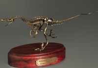 Модель скелета динозавра Velociraptor - «globural.ru» - Ессентуки