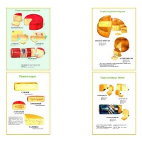 Плакаты ПРОФТЕХ "Ассортимент сыров" (9 пл, винил, 70х100) - «globural.ru» - Ессентуки