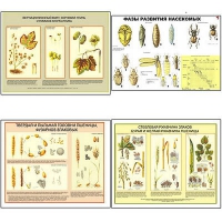 Плакаты ПРОФТЕХ "Вредители и болезни с/х культур и меры борьбы с ними" (11 пл, винил, 70х100) - «globural.ru» - Ессентуки