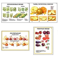 Плакаты ПРОФТЕХ "Ассортимент овощных культур" (12 пл, винил, 70х100) - «globural.ru» - Ессентуки