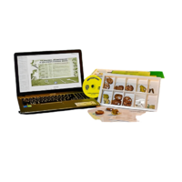 Коллекция натурально-интерактивная "Палеонтологическая" - «globural.ru» - Ессентуки