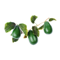 Муляж "Ветка авокадо" - «globural.ru» - Ессентуки