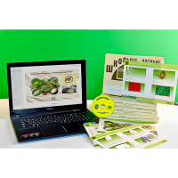 Коллекция натурально-интерактивная "Шелк и продукты его переработки" (средняя школа) - «globural.ru» - Ессентуки