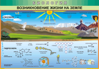 Таблица Возникновение жизни на Земле 1000*1400 винил - «globural.ru» - Ессентуки