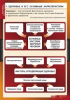 ОБЖ Здоровый образ жизни (комплект таблиц) - «globural.ru» - Ессентуки