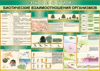 Таблица Биотические взаимоотношения организмов 1000*700 (винил) - «globural.ru» - Ессентуки
