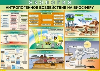 Таблица Антропогенное воздействие на биосферу 1000*700 винил - «globural.ru» - Ессентуки