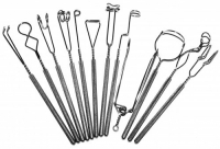 Комплект массажных логопедических зондов на толстых ручках с накаткой (автор Новикова Е.В.) 12 штук - «globural.ru» - Ессентуки