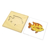 Строение рыбки с контуром - «globural.ru» - Ессентуки