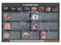 Стенд "Курение" (вариант 1) - «globural.ru» - Ессентуки