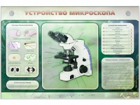 Электрифицированный стенд "Устройство микроскопа и правила работы c ним" - «globural.ru» - Ессентуки