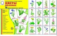 Демонстрационные карточки "Цветы полевые" - «globural.ru» - Ессентуки