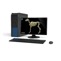 Макет масштабный «Скелет Лошади» Масштаб 1:2 - «globural.ru» - Ессентуки