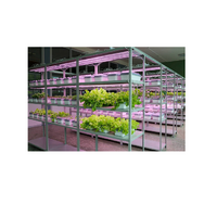 Обучающий комплект "АГРОкласс" - «globural.ru» - Ессентуки