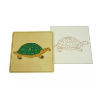 Строение черепахи с контуром - «globural.ru» - Ессентуки