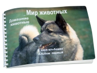 Пособие для слабовидящих "Домашние животные" - «globural.ru» - Ессентуки