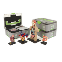 Учебный набор "Анатомия в деталях" - «globural.ru» - Ессентуки