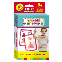 Карточки Домана "Как устроен человек" - «globural.ru» - Ессентуки