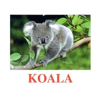 "Wild Animals-2" ("Дикие животные-2") английские карточки Домана - «globural.ru» - Ессентуки