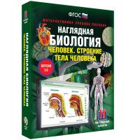 Наглядная биология. Человек. Строение тела человека - «globural.ru» - Ессентуки