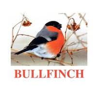 "Birds-1" ("Птицы-1") английские карточки Домана - «globural.ru» - Ессентуки