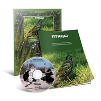 Электронное наглядное пособие «Птицы» - «globural.ru» - Ессентуки