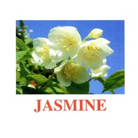 "Flowers-2" ("Цветы-2") английские карточки Домана - «globural.ru» - Ессентуки