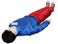 Робот-тренажер "Антон 1.02 К/П" для оказания первой помощи в пути следования - «globural.ru» - Ессентуки