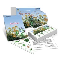 Комбинированное наглядное пособие «Растения» - «globural.ru» - Ессентуки