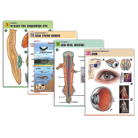 Комплект таблиц по всему курсу биологии (120 штук, формат А1, полноцв, лам) - «globural.ru» - Ессентуки