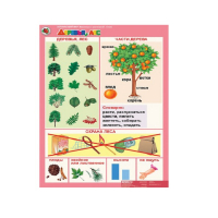 Комплект таблиц. Окружающий мир 5-6 лет. "Животные и растения". - «globural.ru» - Ессентуки