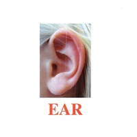 Карточки Домана "Body Parts" ("Части тела") на английском языке - «globural.ru» - Ессентуки