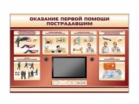 Многофункциональный интерактивный стенд-тренажер "Оказание первой помощи пострадавшим" для учащихся общеобразовательных учреждений - «globural.ru» - Ессентуки