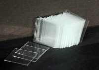 Стекло покровное (упаковка 100 штук) - «globural.ru» - Ессентуки