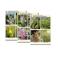 Комплект таблиц по ботанике раздаточных"Многообразие растений. Лесные и луговые" (16 штук, формат А4, лам) - «globural.ru» - Ессентуки
