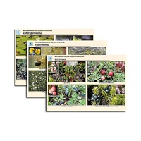 Комплект таблиц по ботанике раздаточных "Многообразие растений. Водные и прибрежные" (16 штук, формат А4, лам) - «globural.ru» - Ессентуки
