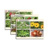 Комплект таблиц по ботанике раздаточных "Многообразие растений. Лекарственные и ядовитые"(16 штук, формат А4,лам) - «globural.ru» - Ессентуки