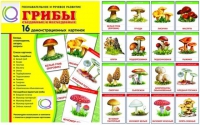 Демонстрационные карточки  "Грибы съедобные и не съедобные" - «globural.ru» - Ессентуки