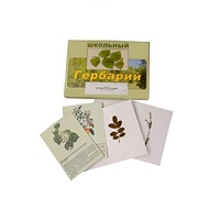 Гербарий "Деревья и кустарники" (22 вида, с иллюстрациями) - «globural.ru» - Ессентуки