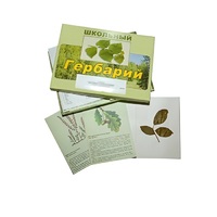 Гербарий "Дикорастущие растения" (30 видов, с иллюстрациями) - «globural.ru» - Ессентуки