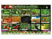 Комплект оборудования "Живой уголок" (растения) - «globural.ru» - Ессентуки