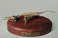Модель скелета ихтиозавра Ichthyosaurus - «globural.ru» - Ессентуки