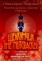 DVD "Щелкунчик. Волшебный мир балета" сказка-балет для детей - «globural.ru» - Ессентуки