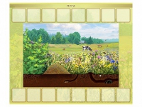 Магнитно-маркерный плакат "Луга" с набором магнитных карточек + методические рекомендации - «globural.ru» - Ессентуки